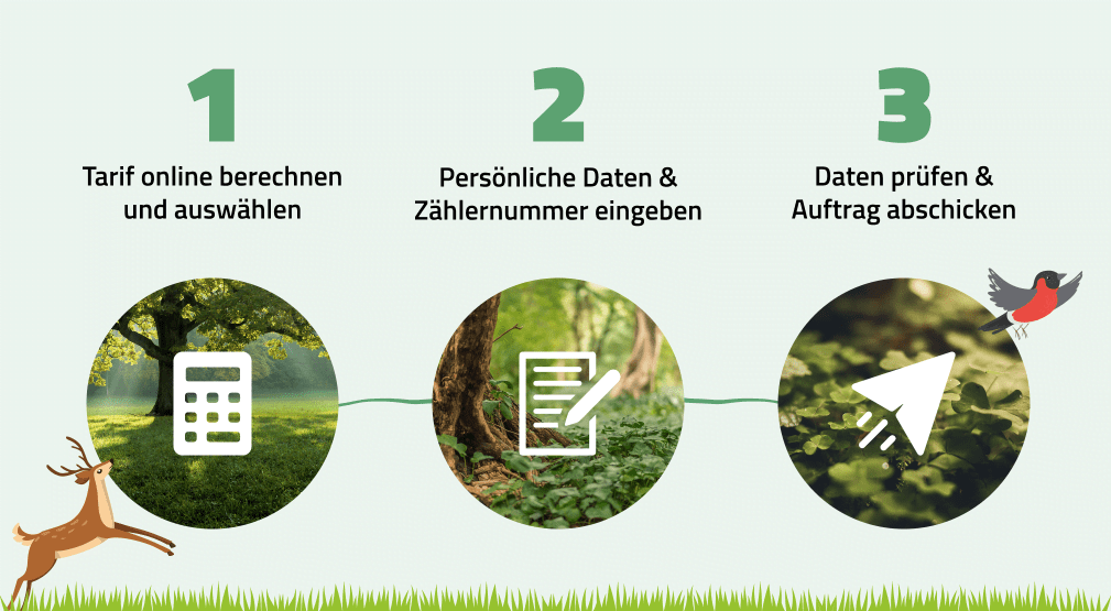Infografik 3 Schritte zum SAUBER GAS Tarif Infografik 3 Schritte zum SAUBER GAS Tarif