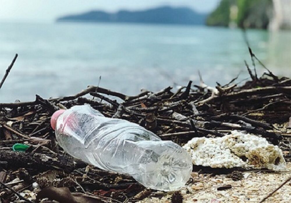 Plogging: Das steckt hinter dem Müll-Sammeln-Trend