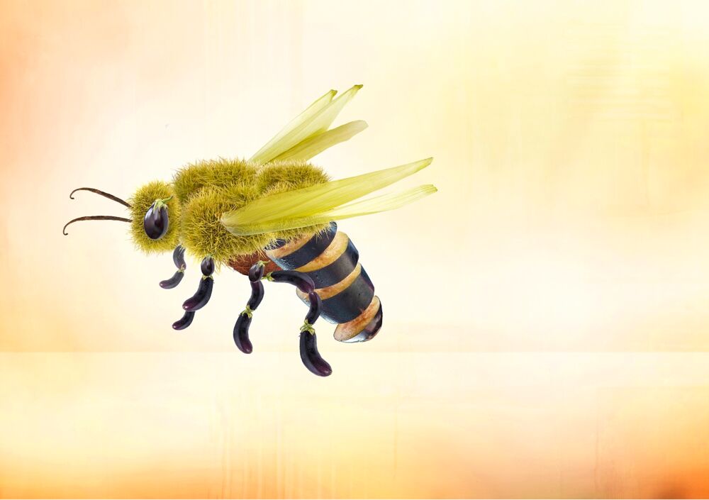 Biene - Bienenschutz - Mit Energie anpacken
