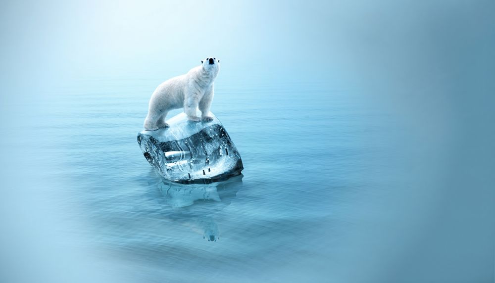 Das Klima Schwitzt Wir Schwitzen Mit Sauber Energie