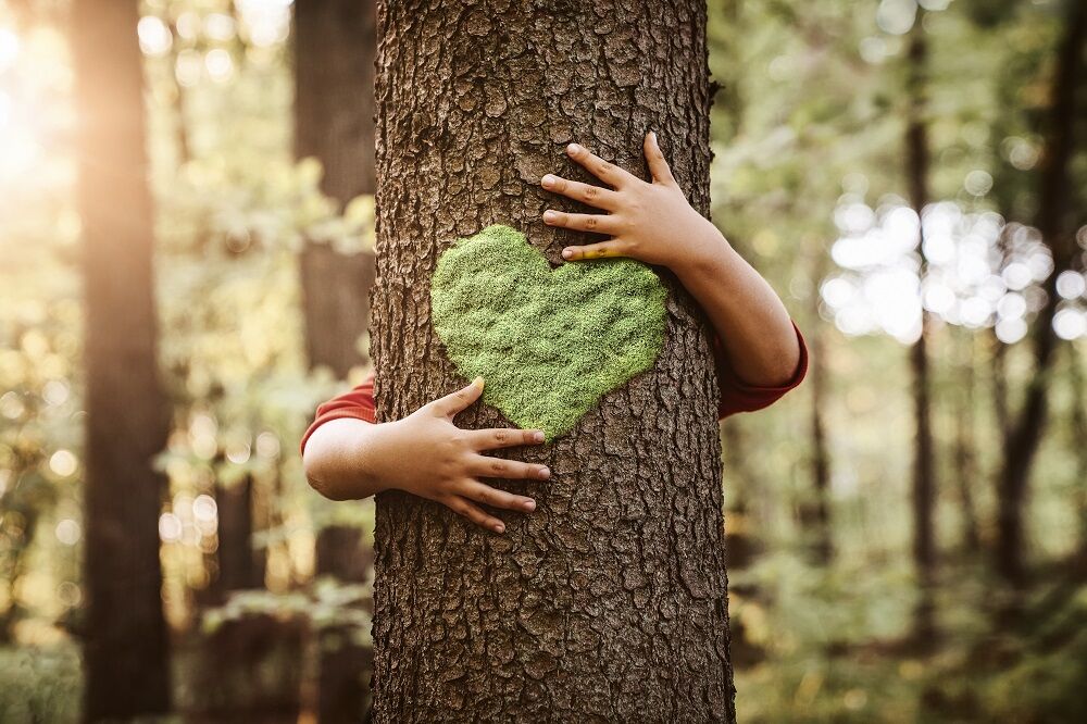 Nachhaltige Ideen Valentinstag ökologisch