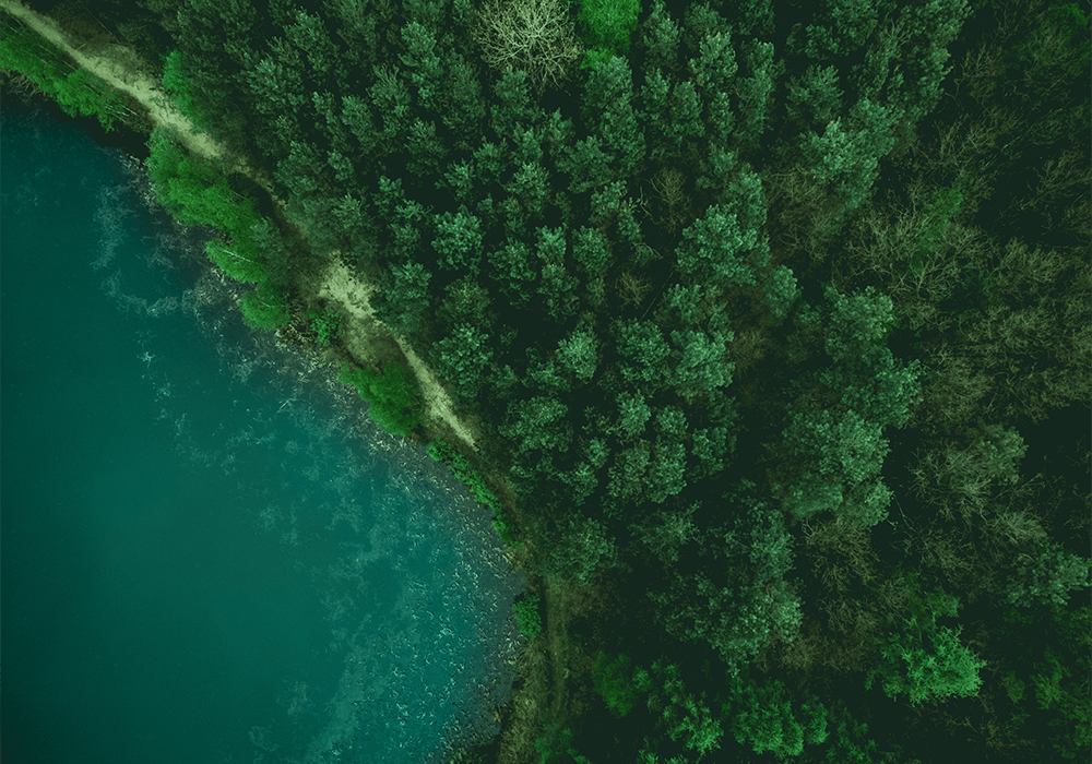 Wald, Wasser und Moore: Schützenswerter Lebensraum