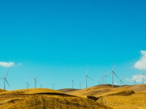 Uruguay Windkraft Windrad Windräder Energiewende Vorbild Klimaschutz Technologie Zukunft