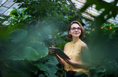 Mit Energie anpacken: Laufen für den Wald Mit Energie anpacken: Laufen für den Wald