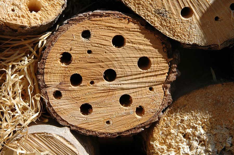 Bienenhotel Anleitung zum Bienenhelfen
