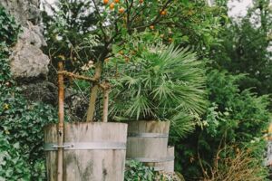 Garten Planen Mikroklima Klimazonen Temperatur Zonen Schatten Feuchtigkeit Teich Wind
