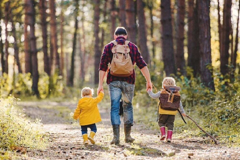 SAUBER-Wald: Im Wald gibt es vieles zu entdecken