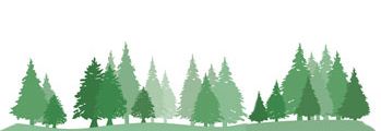 Wald-Förderung mit Ökostrom und Ökogas