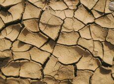 Wassermangel Trockenheit Flucht Migration durch Klimawandel Klimaflüchtlinge Wüstenbildung fehlende Niederschläge
