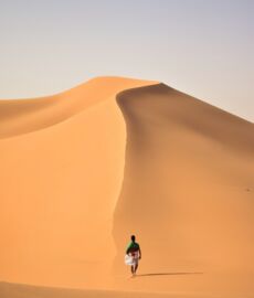 Yacouba Sawadogo alternativer Nobelpreis Mann hält Wüste auf Wald Pflanzen Sahara