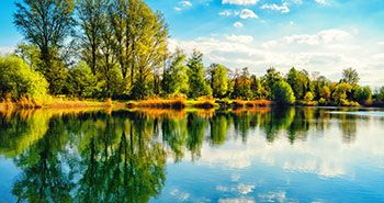 Wald und sauberes Wasser