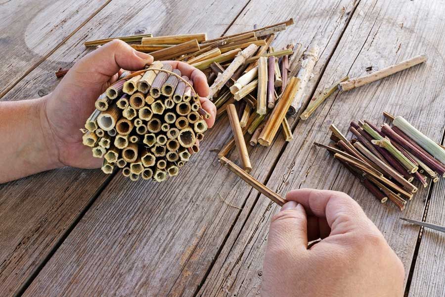 Bienenhotel bauen