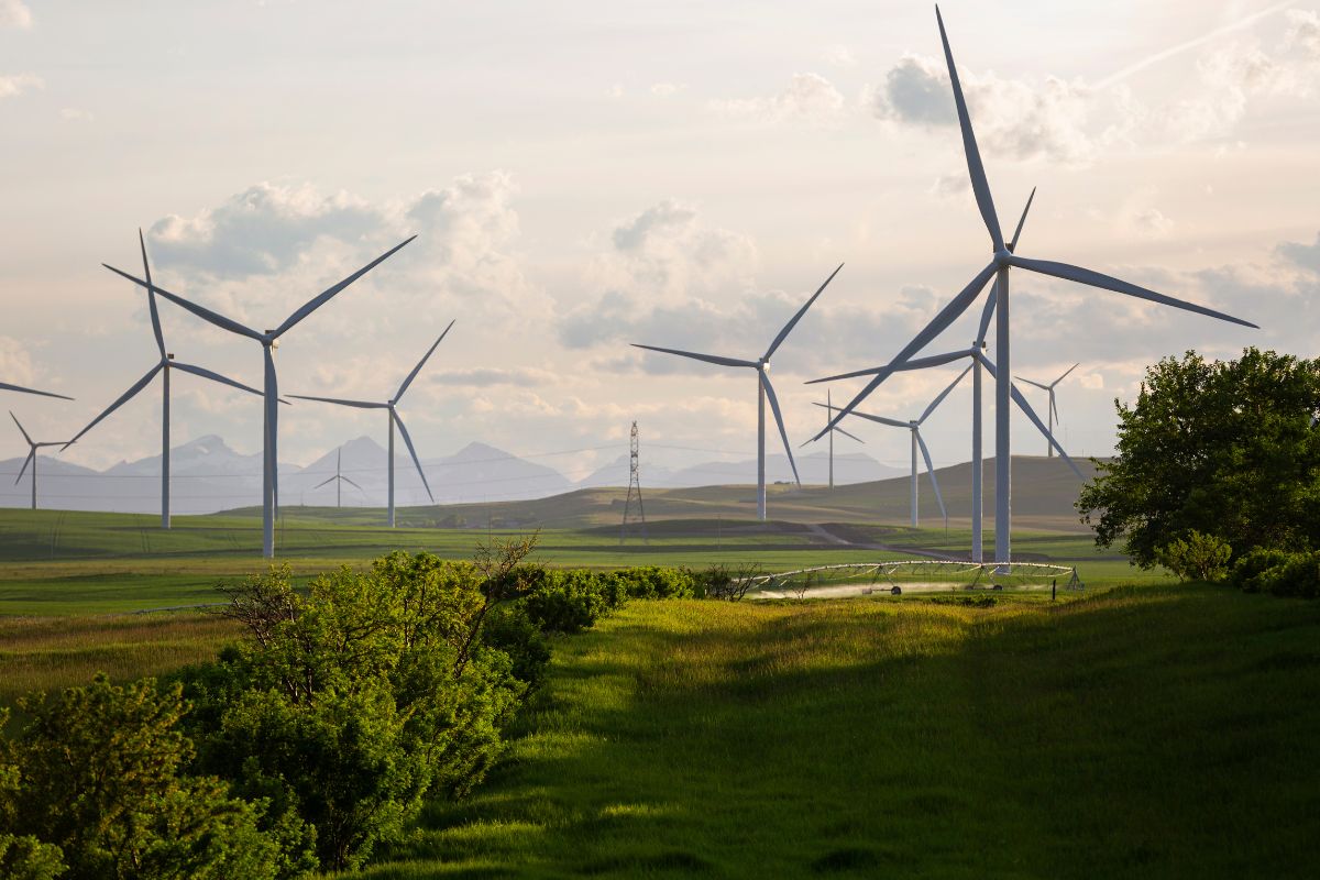 Windräder: Ökoenergie