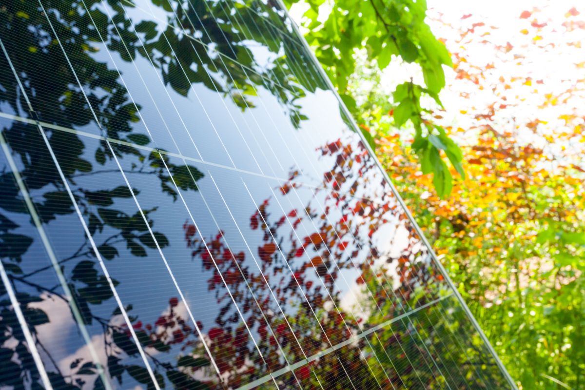 Solarpanele: Solarenergie Photovoltaik