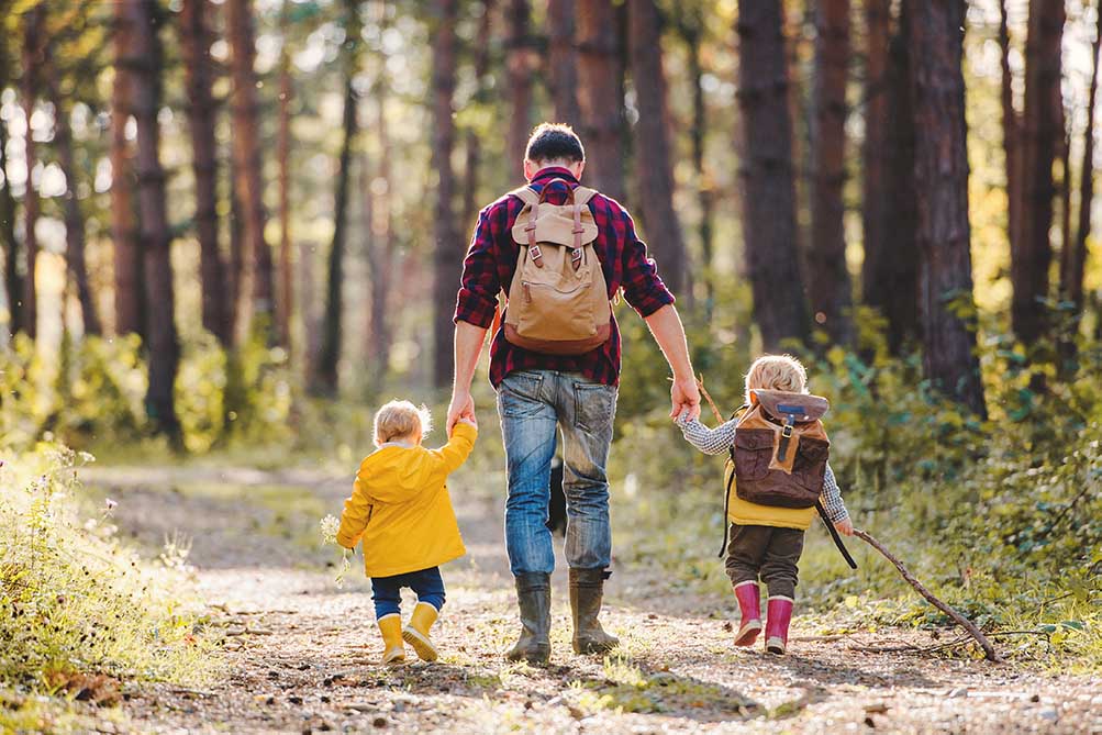 Wandern im SAUBER-ENERGIE-Wald: Wandertipps Laura Wohllebens Waldakademie