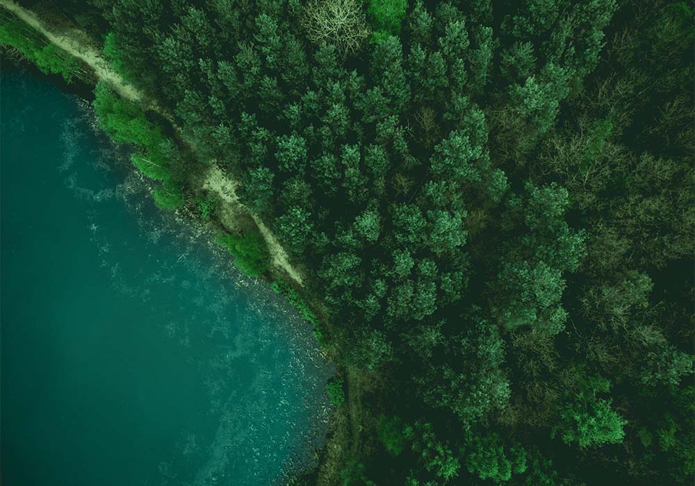 Wald & Moor: Schützenswerter Lebensraum