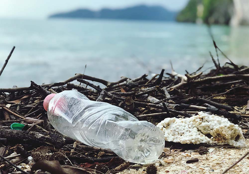 Plogging: Das steckt hinter dem Müll-Sammeln-Trend