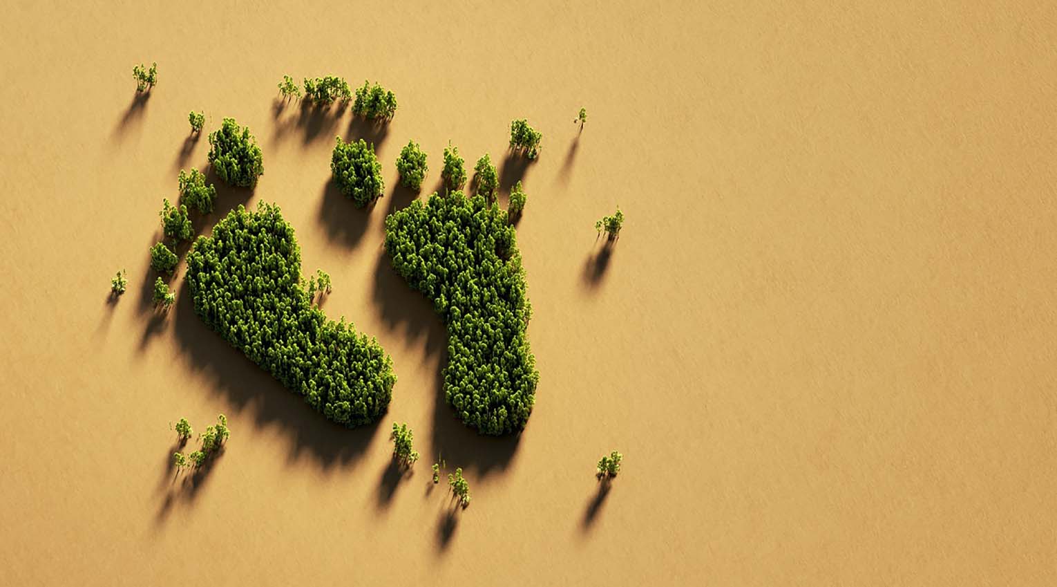 Ökologischer Fußabdruck | Earth-Overshoot-Day