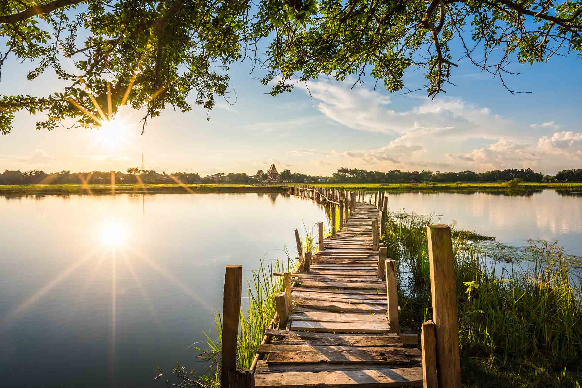 Augsburger Wald als Biotopbrücke, Steg im Fluss