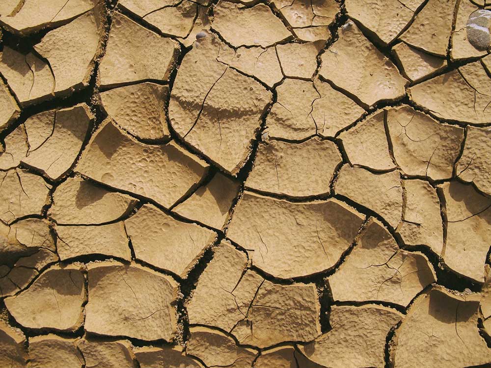 Wüste Ausbreitung Klimaschutz Wald Projekte