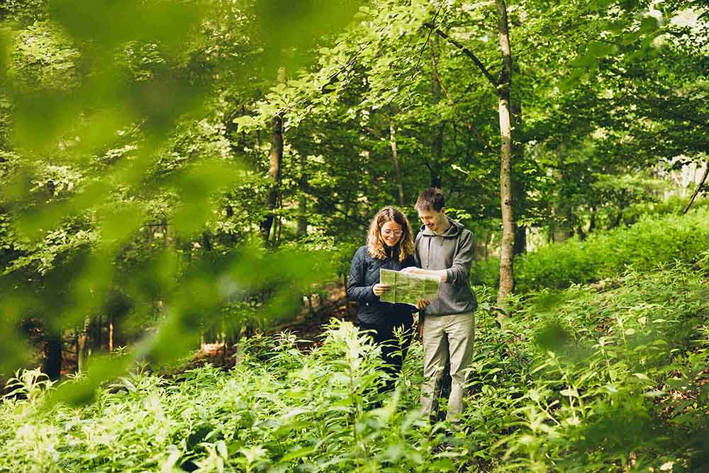 Wald SAUBER ENERGIE Versprechen Waldschutz