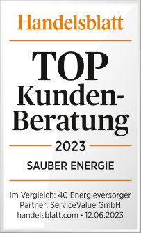 Qualitätssiegel des Handelsblatts für Kundenberatung Erfahrungen