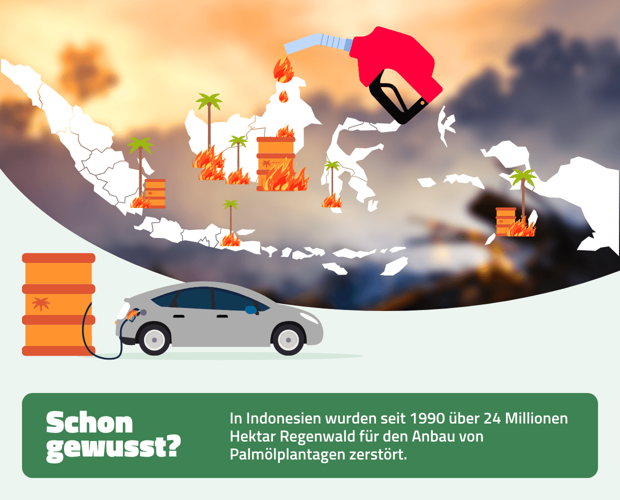 Infografik Verbrennermotoren Waldfläche Zerstörung