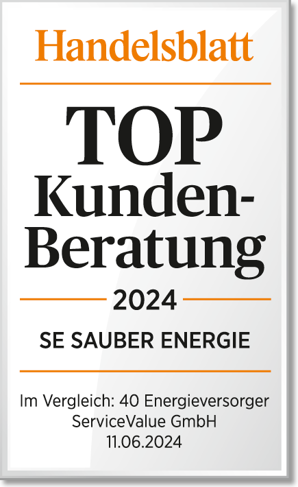 Qualitätssiegel des Handelsblatts für Kundenberatung, Erfahrungen
