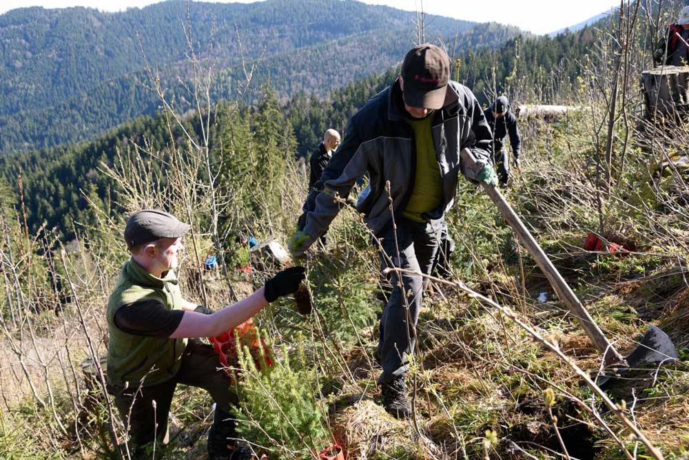 Bergwaldprojekt in Holzkirchen/Oberbayern. Foto: Bergwaldprojekt e.V.