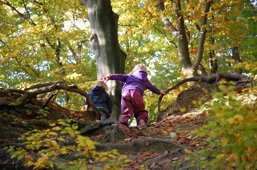 Lieblingsort Wald: Wie die ganz Kleinen ihn selbstverständlich schützen