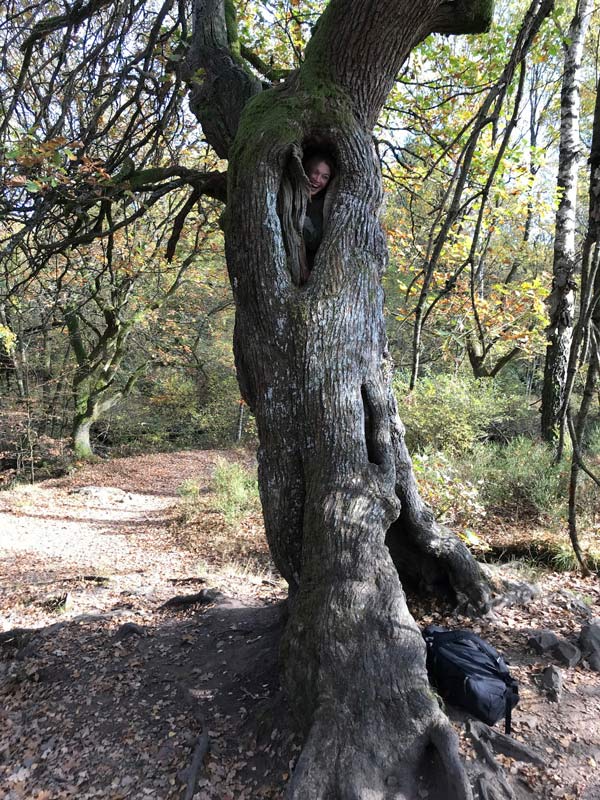 klimablog: Gemeinsam für den Klimaschutz Nicole auf einem Baum