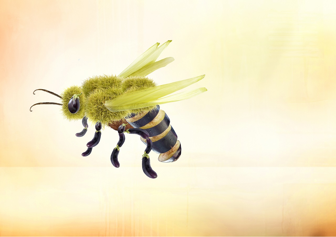 Biene - Bienenschutz - Bienen retten