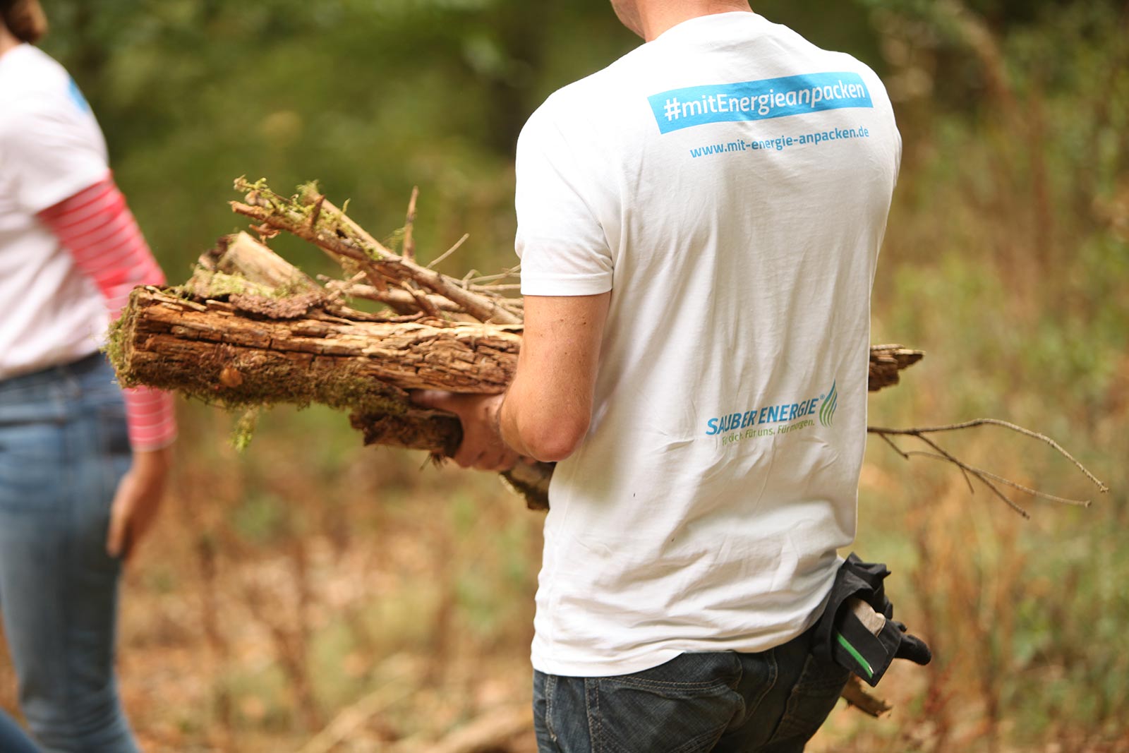Holzsammeln im ökologischen Wald. Auch Bäume misten regelmäßig aus.
