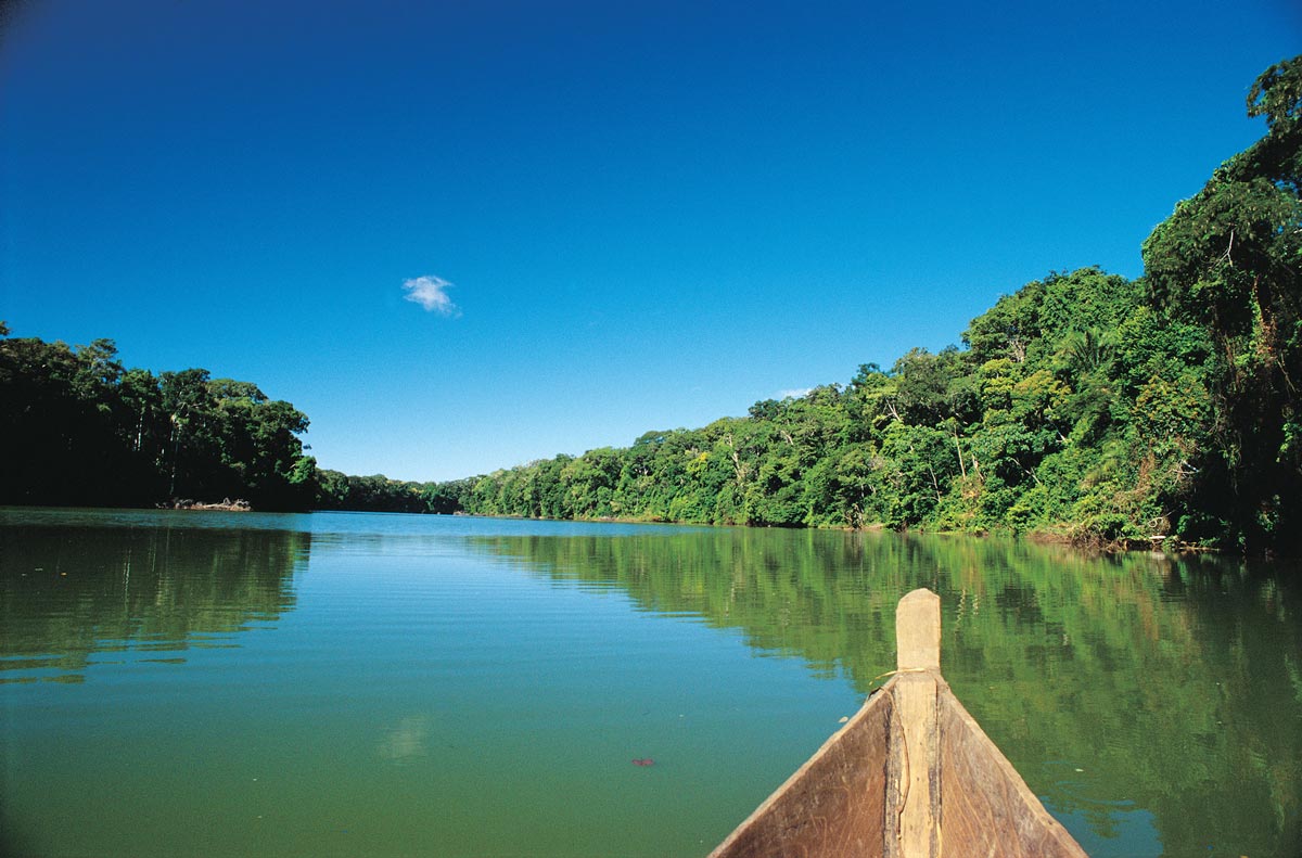 Peru Amazonas Waldprojekt Waldschutz SAUBER ENERGIE