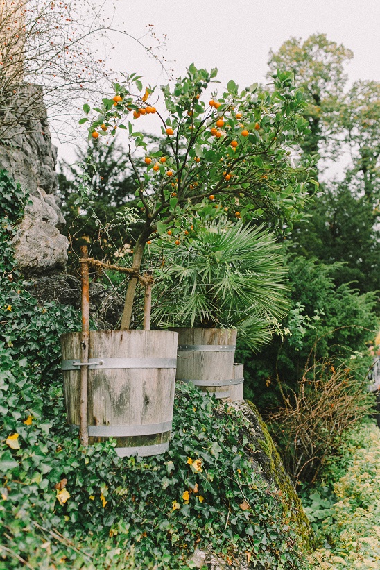 Garten grün gestalten gegen Trockenheit