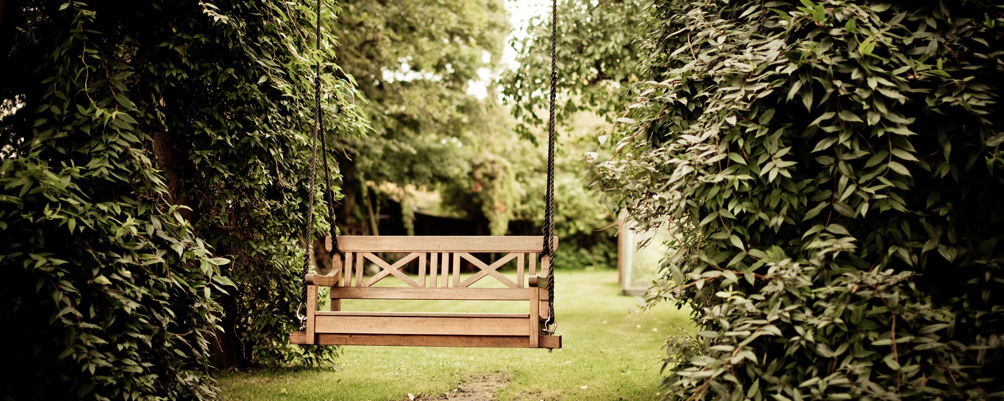 Garten Kühl Gärtnern Mikroklima Schattig Ökologisch Öko Bio Biologisch