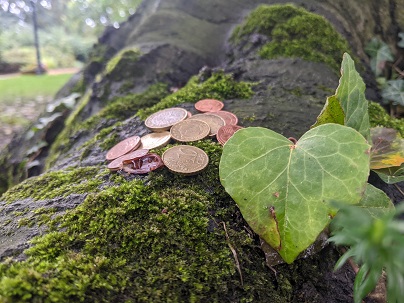 Baum Wurzel Geld: Klimaschutz spart Geld