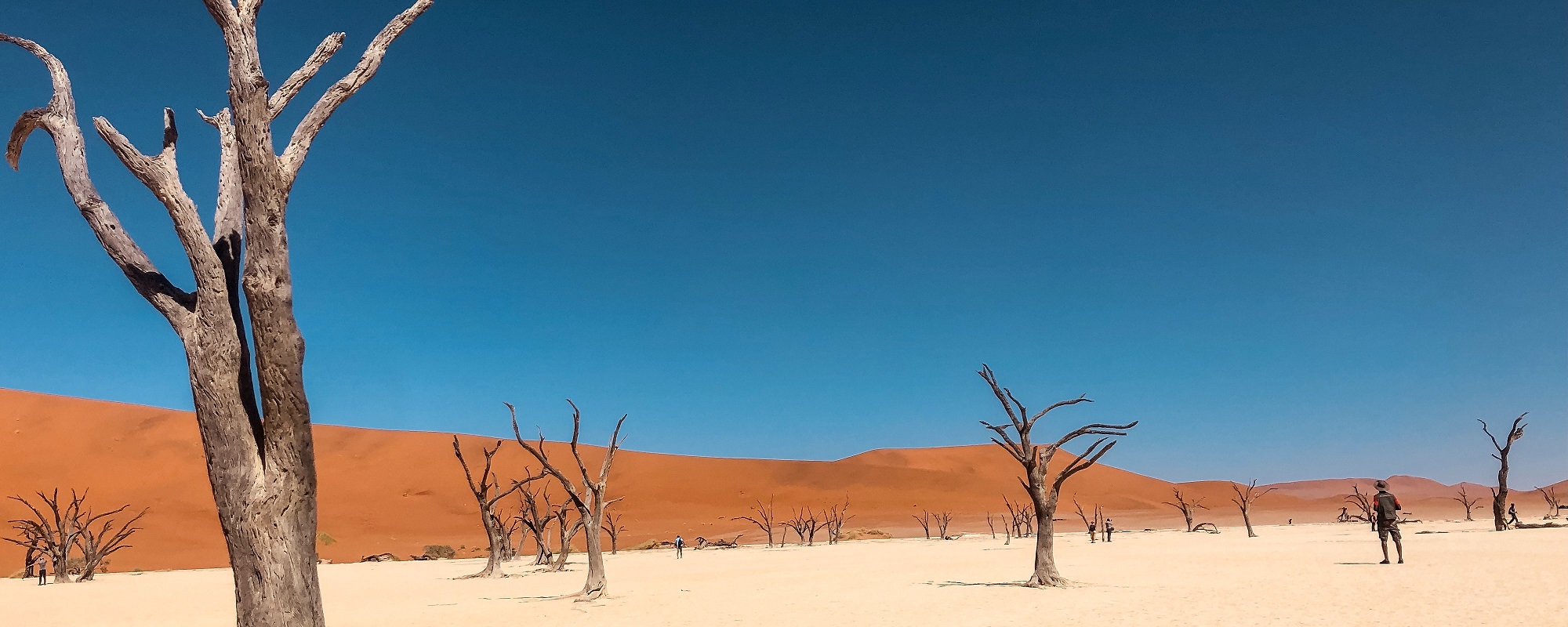 Dürre Trockenheit Wüste Wüsten Desertifikation Klimawandel Sahelzone Jordanien Ägypten Sekem Yacouba Sawadogo Greening the Desert Permakultur Klimakrise